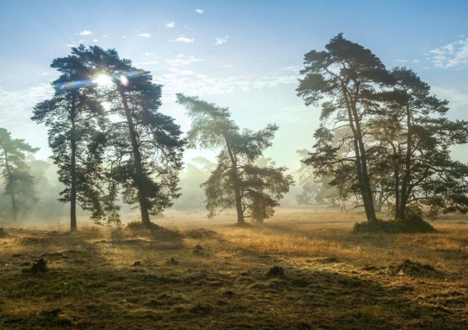 NP De Hoge Veluwe